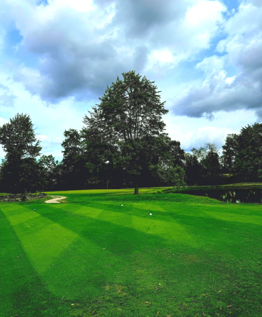 Manicured golf course green